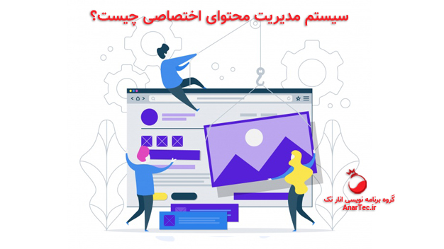 سیستم مدیریت محتوای اختصاصی چیست؟